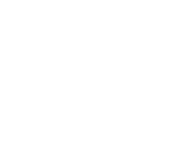 بذور بغداد